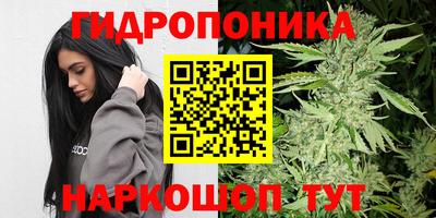 гашик Апрелевка